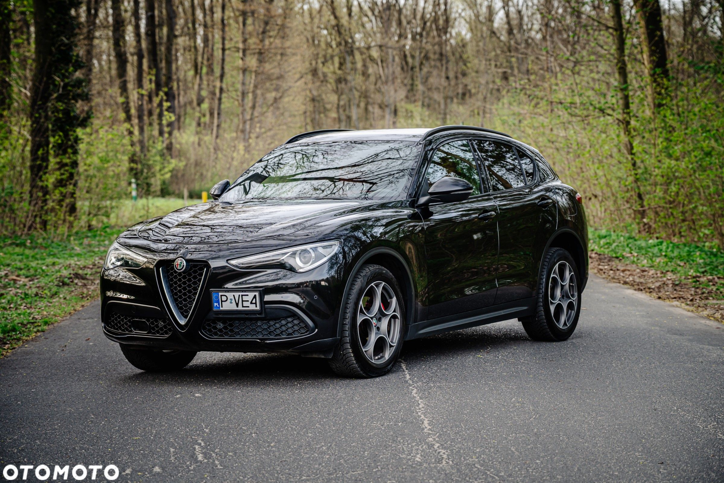 Alfa Romeo Stelvio 2.0 Turbo 16V AT8-Q4 Veloce Ti - 1
