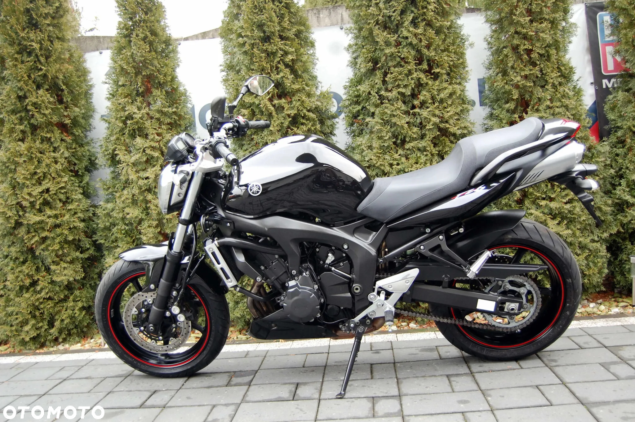 Yamaha FZ6 - 5