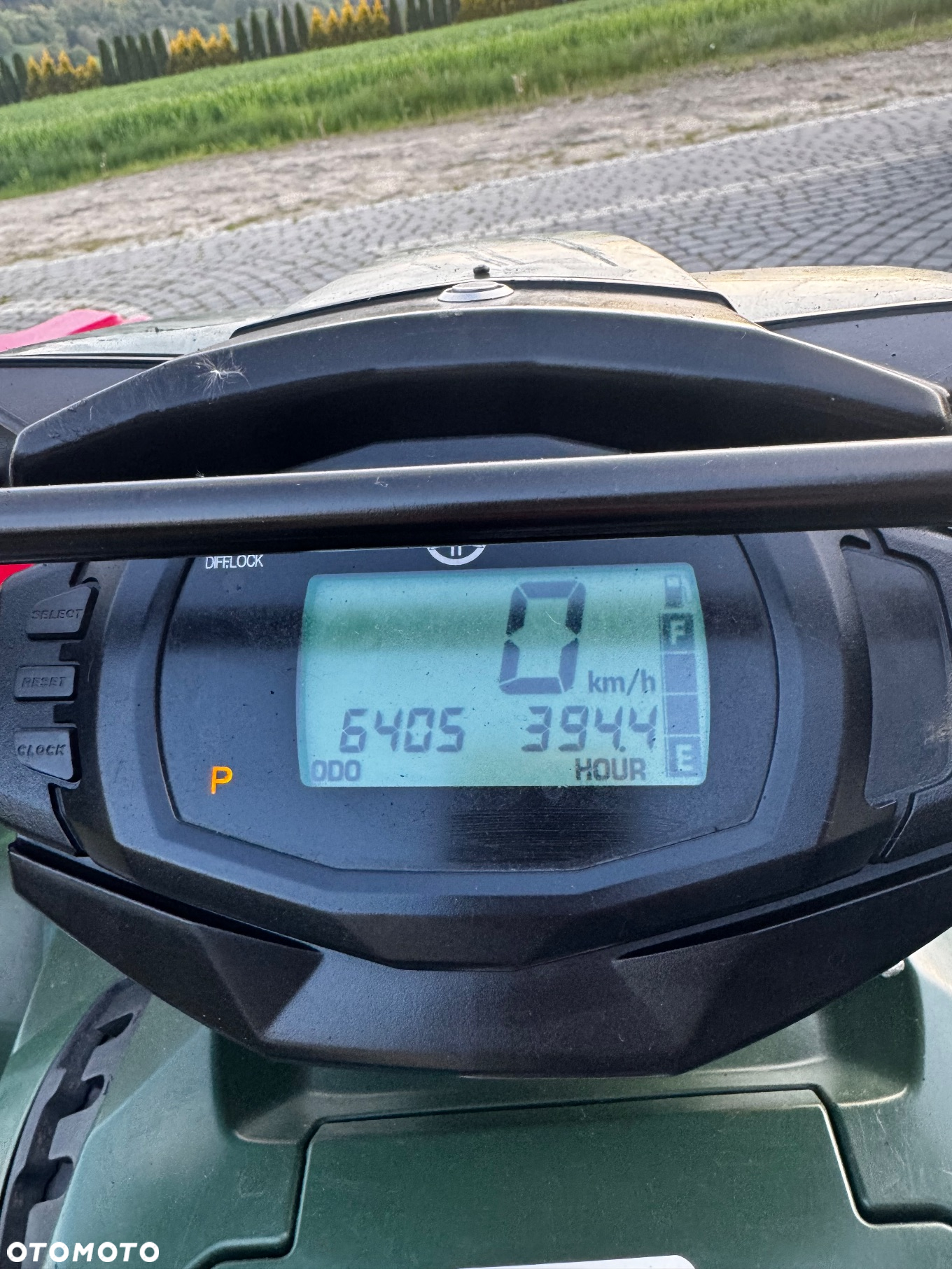 Yamaha Grizzly - 7