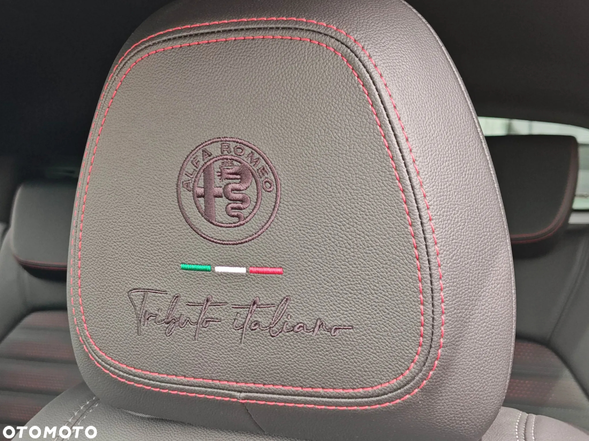 Alfa Romeo Stelvio 2.0 Turbo Tributo Italiano Q4 - 14