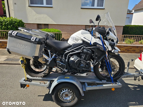 Triumph Tiger