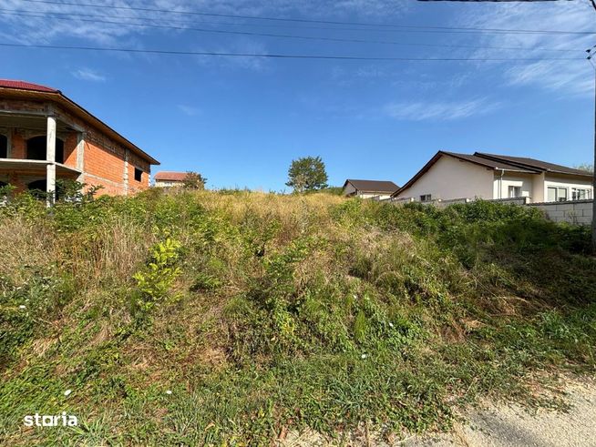 Teren intravilan 4500 mp. Mihaesti - Barsesti-8