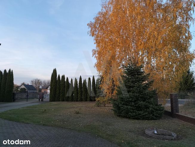 Dom 250m 2,5 km do Pkp Grodzisk-4