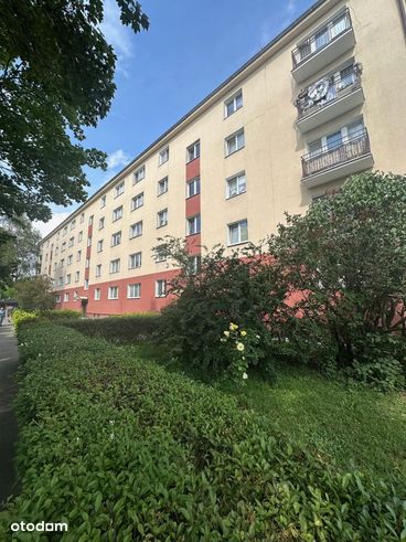 Grunwald- 2 pokojowe z balkonem wśród zieleni!-17